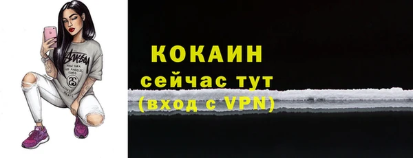 сатива Бронницы