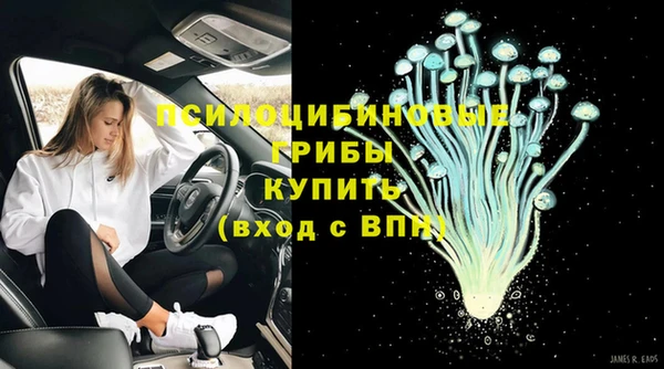 сатива Бронницы