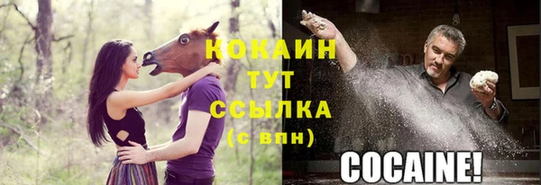 гидропоника Бугульма