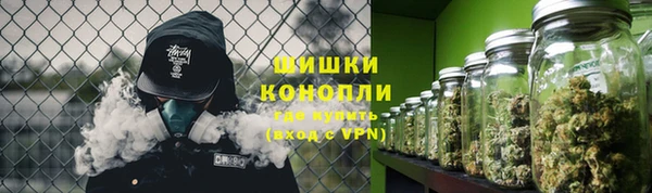 apvp Бородино