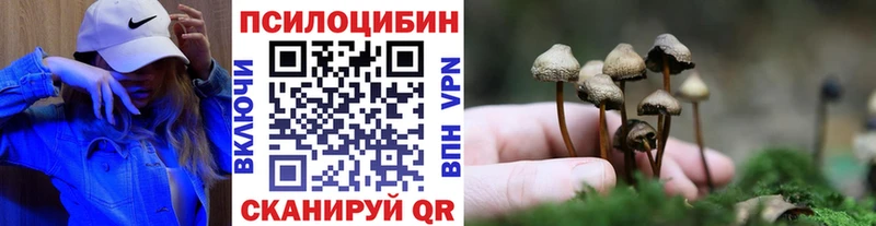 Псилоцибиновые грибы ЛСД  что такое   Гусев 