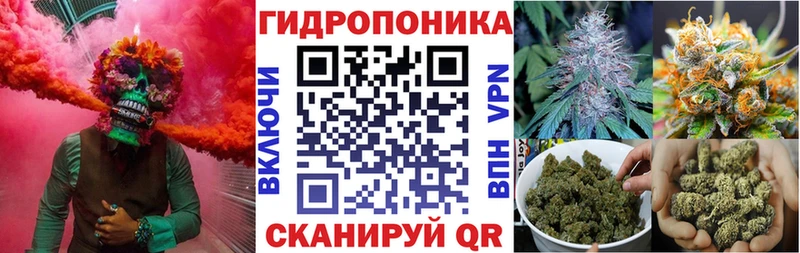 Конопля VHQ  мориарти официальный сайт  Гусев 